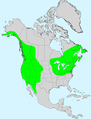 North America species range map for Anaphalis margaritacea: Click image for full size map